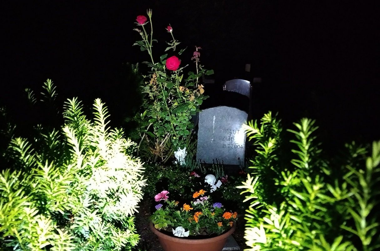 Blumen für Leben und Tod. Ein Streifzug durch die regionale Bestattungskultur.