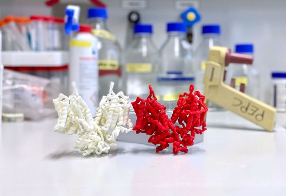 Proteine: Komm und entdecke die LEGO-Box…